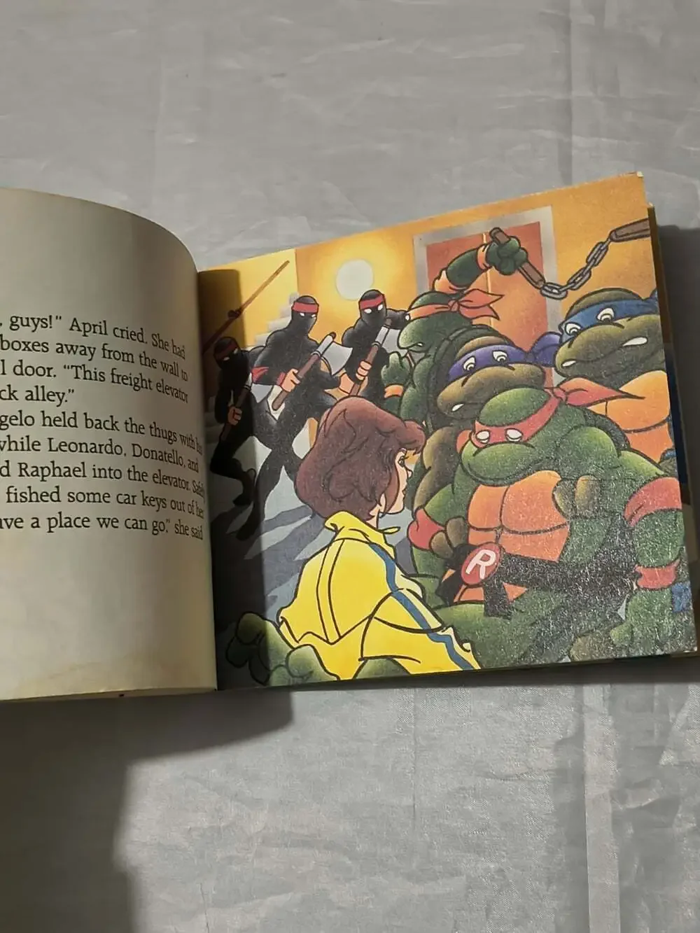 Random House Teenage Mutant Ninja Turtles The Final Lesson PB 1990 Holm